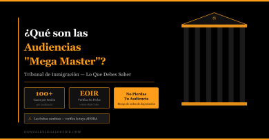 mega master feature ES Immigration Law ¿Qué Son las Audiencias “Mega Master” en el Tribunal de Inmigración y Qué Significan para Tu Caso?