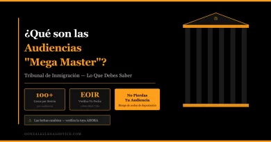 ¿Qué Son las Audiencias “Mega Master” en el Tribunal de Inmigración y Qué Significan para Tu Caso?