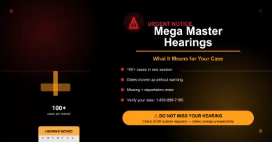 What Are “Mega Master” Hearings in Immigration Court and What Do They Mean for Your Case?